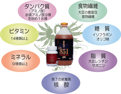 楊振華851Y型の成分